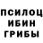 Псилоцибиновые грибы Cubensis Pablo Escobarr