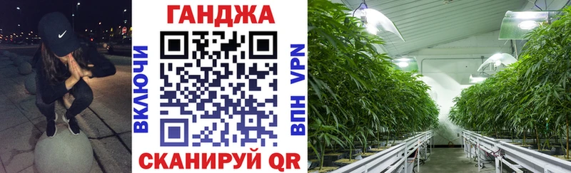 Купить где  Калининск  Бошки Шишки план 